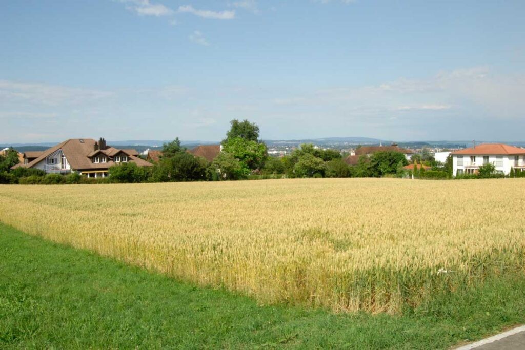 Tägerwilen